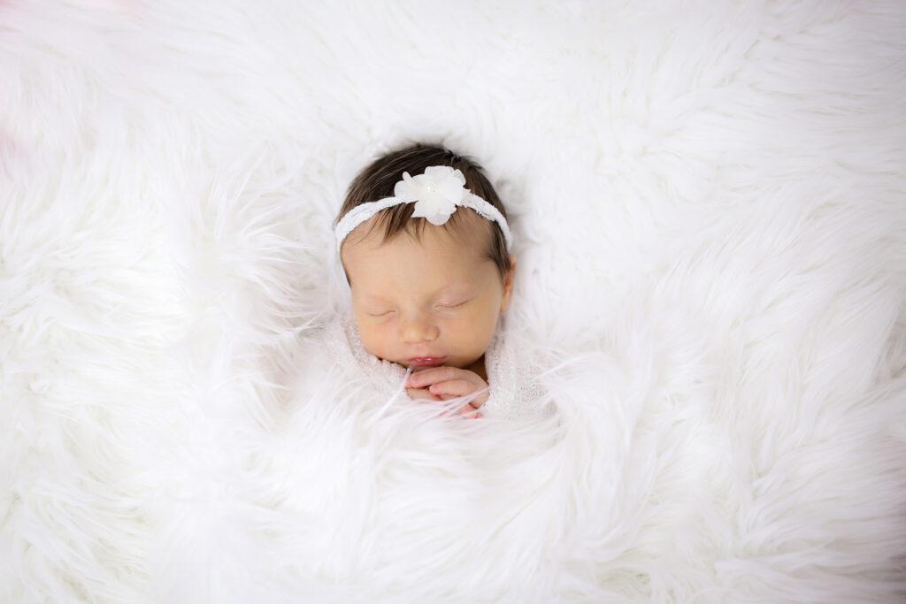babyfotos_babyfotograf_baby_halberstadt_wernigerode_magdeburg